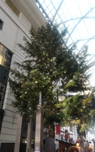 スクエア防府店クリスマスツリー