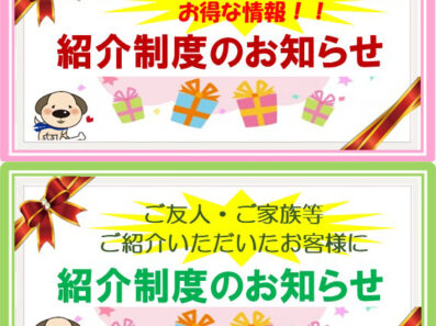 紹介キャンペーン実施中！