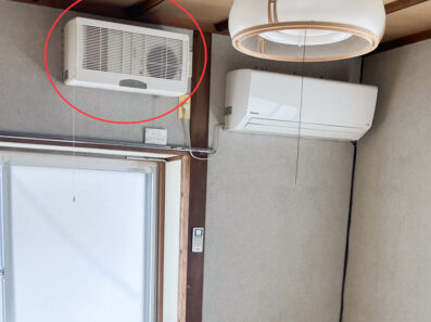 コレ！何かご存知ですか？