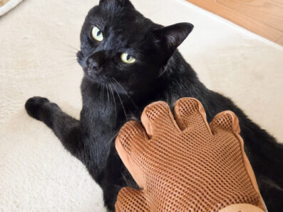 抜け毛グローブの威力