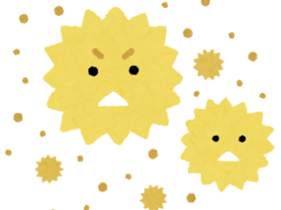 花粉が室内に入る原因