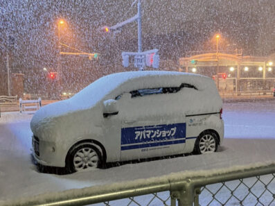 生まれて初めて見る、岩国の大雪