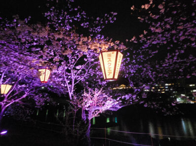 今年は花時雨でした。